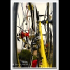 Giro_d'Italia_foto_F._Di_Caro (2).jpg